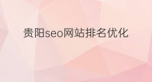 贵阳seo网站排名优化 贵阳seo怎么优化排名