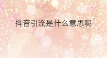 抖音引流是什么意思呢 抖音引流是什么意思
