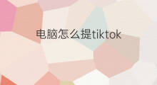 电脑怎么提tiktok 电脑能下载tiktok吗