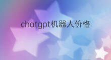 chatgpt机器人价格(chatGPT机器人价格)