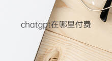 chatgpt在哪里付费(付费节目列表在哪里)