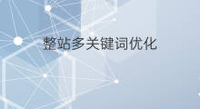 整站多关键词优化 重庆整站多关键词优化