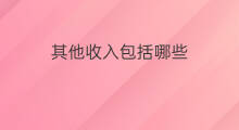 其他收入包括哪些 其他业务收入包括哪些