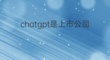 chatgpt是上市公司吗(chatgpt有上市公司吗)