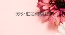 炒外汇如何赚钱 如何用chatgpt炒外汇