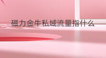 磁力金牛私域流量指什么 私域流量运营指什么
