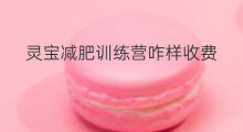 灵宝减肥训练营咋样收费 灵宝减肥训练营咋样