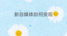 新自媒体如何变现 沈阳自媒体如何变现赚钱