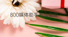 800媒体助手怎么变现 快手800粉丝怎么变现 800媒体助手怎么变现 快手800粉丝怎么变现