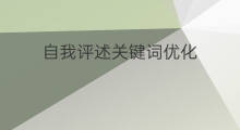 自我评述关键词优化 桂平优化关键词