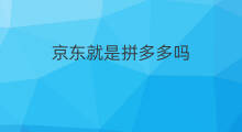 京东就是拼多多吗 拼多多和京东不同
