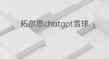 拓尔思chatgpt雪球 chatgpt拓尔思