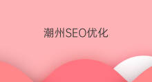 潮州SEO优化 潮州seo优化网络