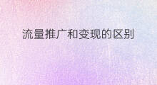 流量推广和变现的区别 seo和推广的区别