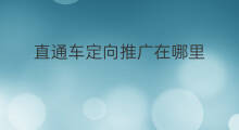 直通车定向推广在哪里 直通车定向推广是什么