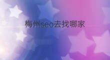 梅州seo去找哪家 梅州seo推广哪家好