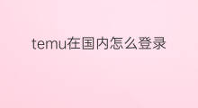 temu在国内怎么登录 temu怎么登录