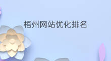 梧州网站优化排名 梧州网站关键词筛选优化