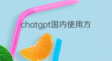 chatgpt国内使用方法 国内如何使用方法chatgpt