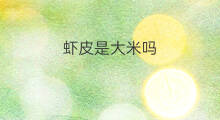 虾皮是大米吗 大米粥里放虾皮好吗