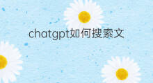 chatgpt如何搜索文章(快手搜索文章怎么搜索)
