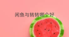 闲鱼与转转哪个好 猎趣和闲鱼哪个好