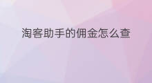 淘客助手的佣金怎么查 查淘客佣金助手怎么用