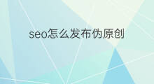 seo怎么发布伪原创 seo怎么发布伪原创软件