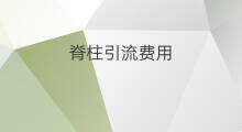 脊柱引流费用 脊柱引流管分类