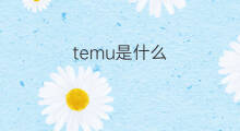 temu是什么 temu是什么货币