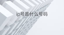 ip号是什么号码 as号和ip是什么