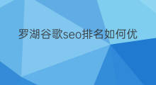 罗湖谷歌seo排名如何优化 罗湖谷歌seo怎么优化排名