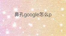 鼻孔google怎么p p20怎么装google
