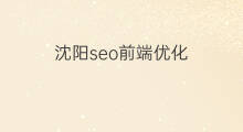 沈阳seo前端优化 厦门前端seo优化