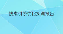 搜索引擎优化实训报告 网络搜索引擎优化实训报告