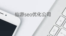 仙游seo优化公司 仙游网站优化排名推广