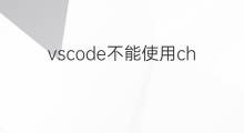 vscode不能使用chatgpt中文版(chatgpt中文版vscode)