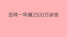 怎样一年赚2500万块钱 一年怎么赚8000万块钱