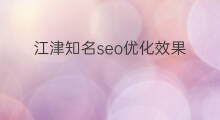 江津知名seo优化效果 江津区seo优化项目