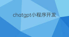chatgpt小程序开发(chatgpt程序开发)