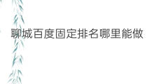 聊城百度固定排名哪里能做 聊城百度排名怎么做