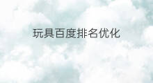玩具百度排名优化 玩具百度排名优化推荐