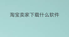 淘宝卖家下载什么软件 快手卖家秀下载什么软件