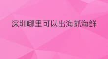 深圳哪里可以出海抓海鲜 汀江哪里出海有海鲜