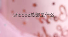 shopee总部是什么 深圳shopee总部多大