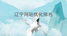 辽宁网站优化排名 辽宁优化网站排名