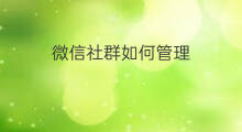 微信社群如何管理 如何讲好微信社群秒杀课