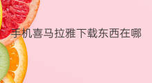 手机喜马拉雅下载东西在哪 为何喜马拉雅下载不了东西