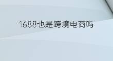 1688也是跨境电商吗 淘宝也是跨境电商吗