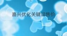 嘉兴优化关键词售价 日照优化关键词售价排名